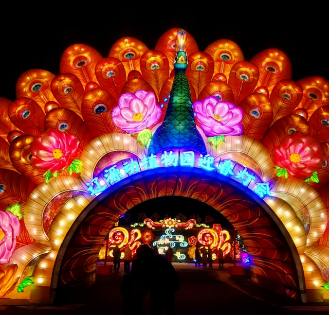 冬日已就位！辽源6条冰雪旅游线路安排~