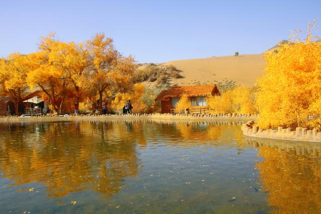 酒泉多坝沟胡杨峡，山势奇特，景色如画，隐藏着大西北的极致秋色