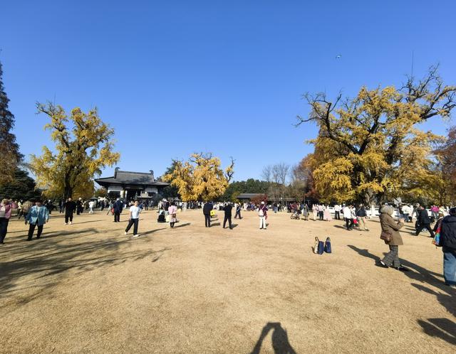 南京老山郊野一日徒步，从狮子岭兜率寺到汤泉惠济寺