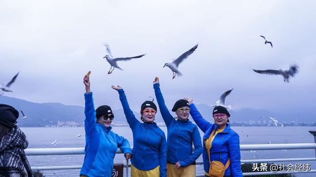 每日一景|漫步滇池湖畔·与海鸥共舞