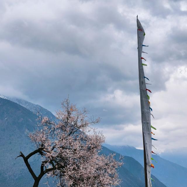我是上海人，四月游西藏林芝，索松村赏桃花望南迦巴瓦峰