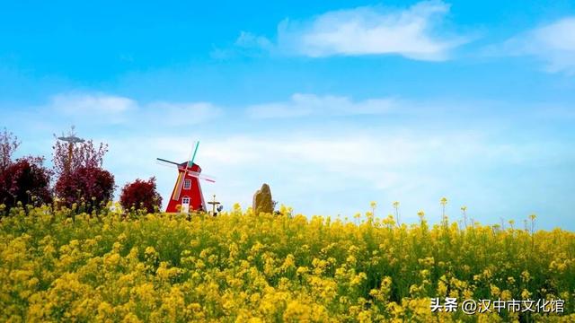 重磅来袭！2026最美油菜花海汉中春季文化旅游季精彩活动抢先看→