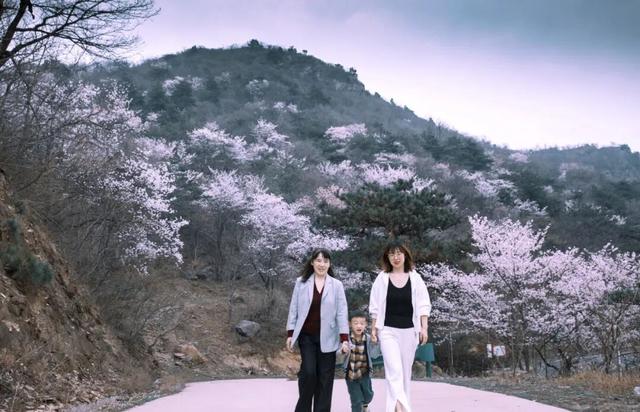 春风十里，不如大洪山有你！全国女士免门票，男士半价！还有专属福利等您来～