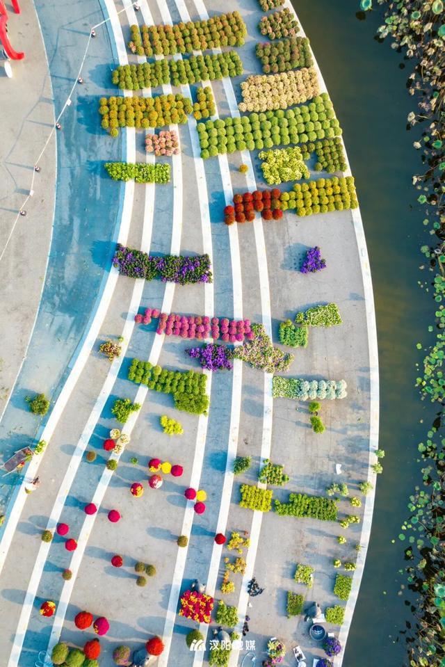 汉阳秋游隐藏副本：逛童话世界，刷个顶流花展