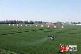 揭秘！河北这个农场，凭啥吸引来4位院士？图片