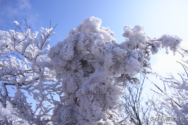 七星岭，冰雪绘仙境