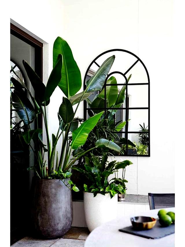 解决小院的6大烦恼，带你一分钟了解