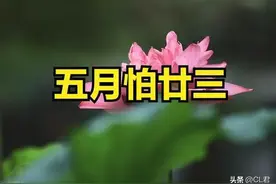 “最怕五月二十三日晴”，今日五月二十三，天晴有何预兆？了解下图片