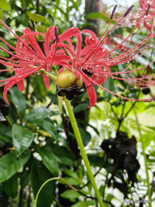 头条君，我已爱上你。