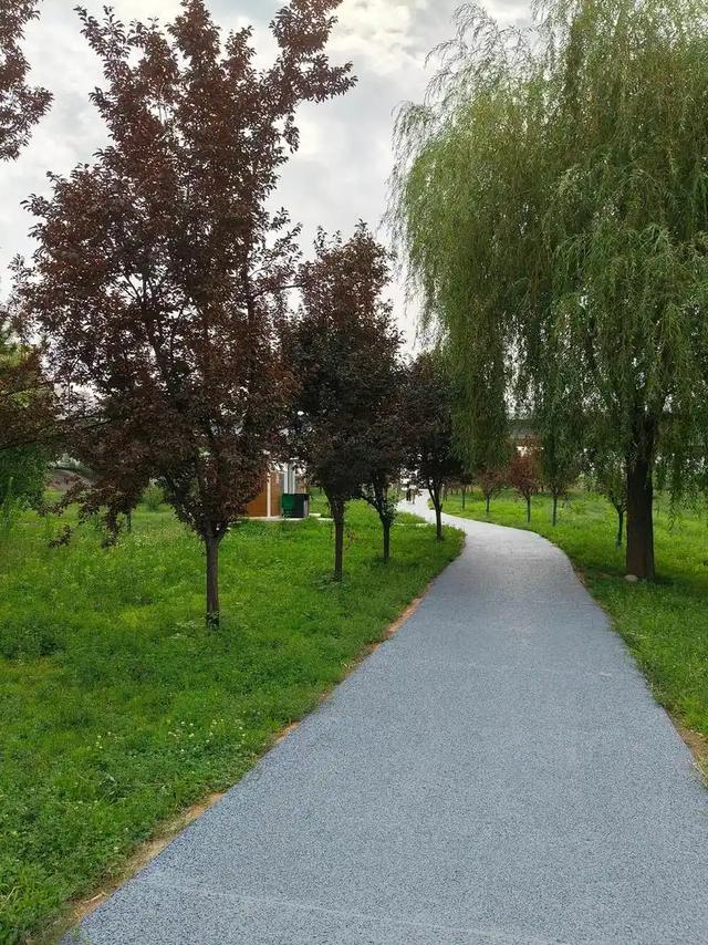 宝鸡城郊最“隐秘”隋唐古刹,卧佛冠绝西北,竟藏着三教合流玄机