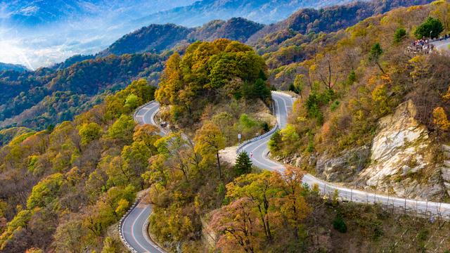 山道弯弯秋色浓