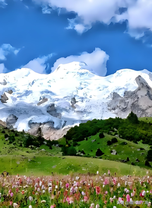 这是—8月最想去的格聂神山：花海漫野+日照金山，错过再等一年！