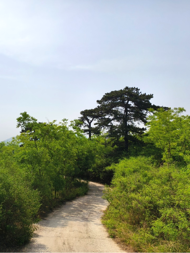 聚焦河北省旅发大会 | 保定分会场：Baoding Mountain Walk！穿越保定太行步道的N种可能