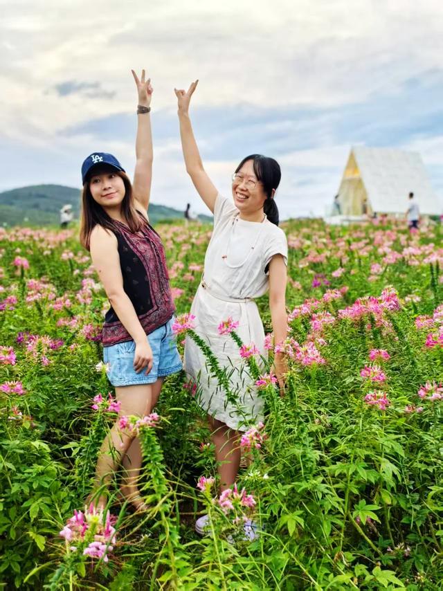 桂林：漓畔花海莲花源！