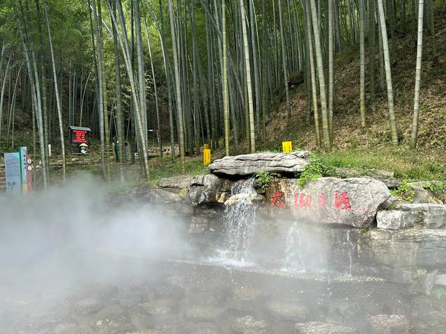 江苏宜兴竹海：周末度假的宝藏之地，开启一场竹林仙境之旅！