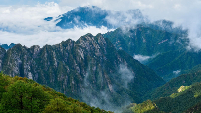 29岁女子独自徒步秦岭鳌太线，被困长达22天，竟然奇迹般生还！