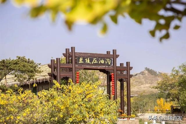 那就和夏天好好告个别吧