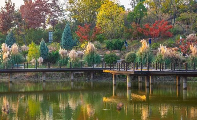 扬州冬始，园林私语