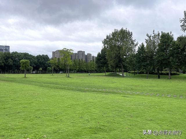 成都公园难得一见的旷野之景，画面超级唯美，地铁公交到达！