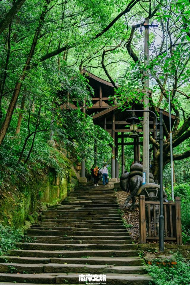 离不开的南岸 | 我在262.41平方公里的“家”里，一觉醒来！