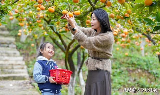 山水浸染秋之色，晚风捎来桂花香