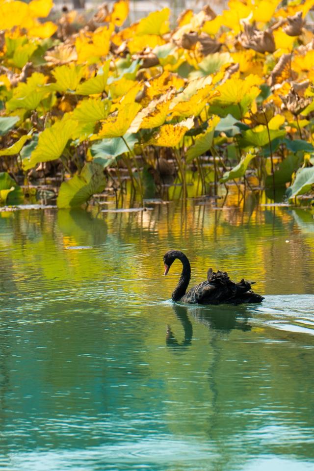 从百年古刹到水上森林：解锁上方山秋冬宝藏打卡地