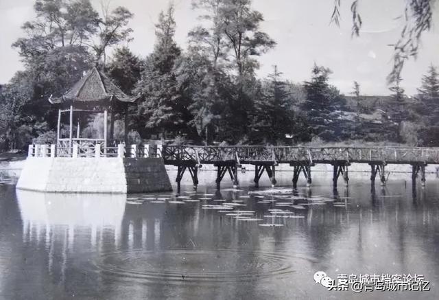 青岛中山公园小西湖凉亭的前世今生