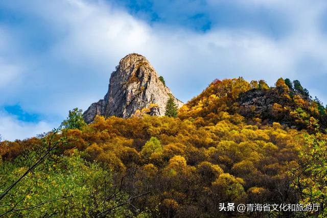 秋色漫卷海东,一场山水林间的浪漫叙事