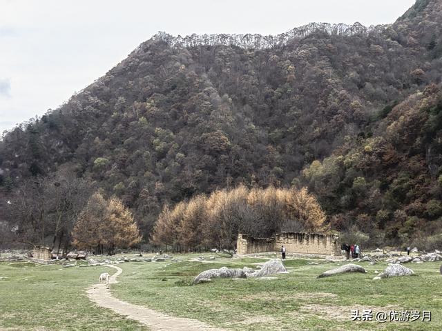 秦岭狮子沟牧场&牛奶湖