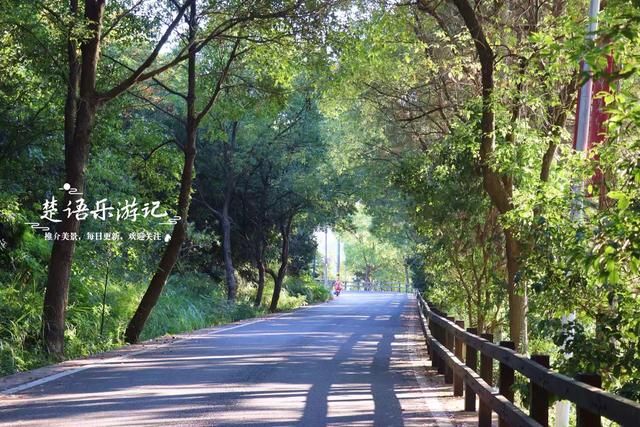 宁波镇海最西面的古村又火了，晨曦下美如画，但网红水库有点可惜