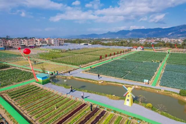 牛耕、捉泥鳅、长桌宴......厦门这片田园,承包你整个夏天的快乐!