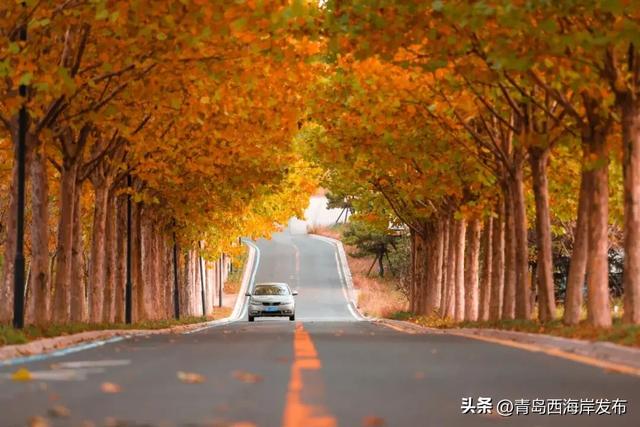 走不出这画了，我已被西海岸的秋景迷倒 🥹