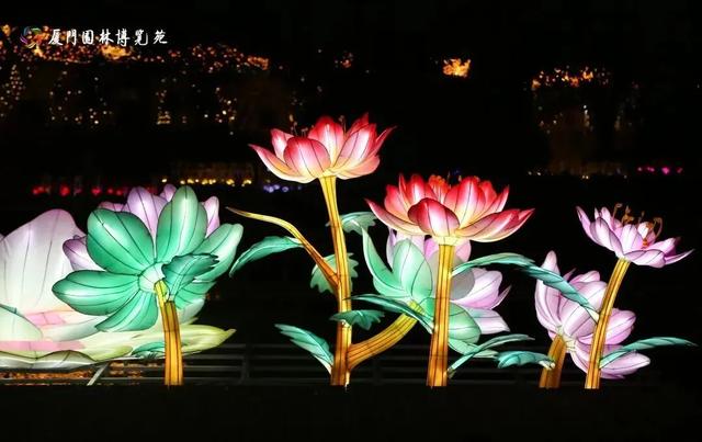 厦门园博苑花灯又上新！走进秋夜浪漫花月夜~