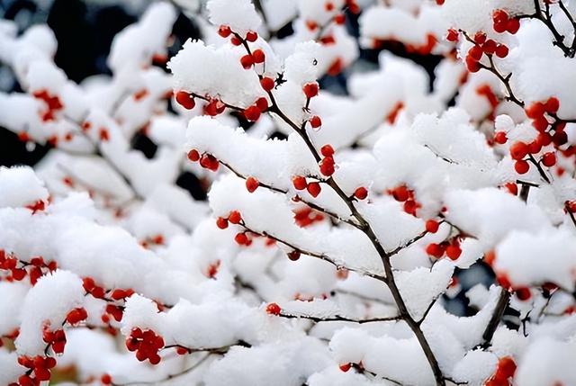 今年最冷时间表出炉了，什么时候最冷？2026年春节冷不冷？涨知识