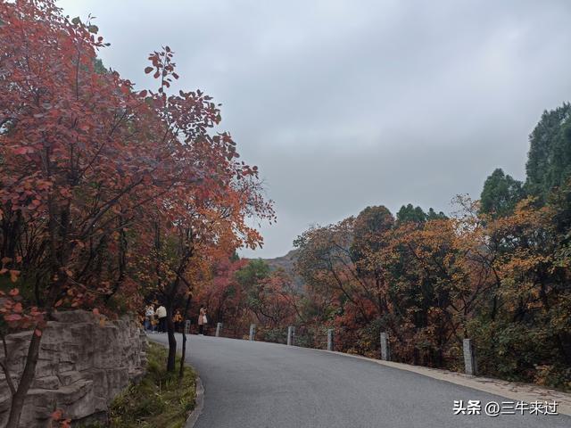 无为在歧路，济南红叶谷