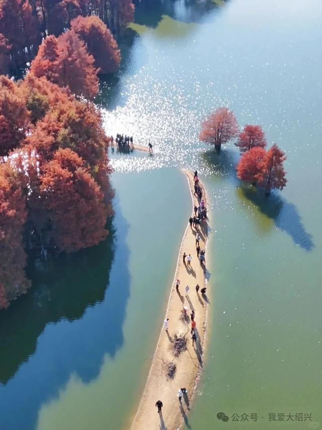 冲上“绍兴TOP1”！绍兴这处美景藏不住了！都有人在赶过来了