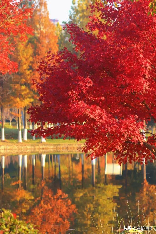 建邺5大封神赏景地，错过再等一年