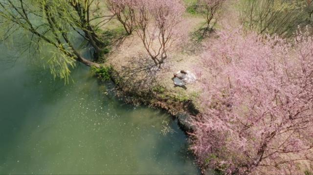 橙光游戏从恋爱到权利，从《清宫计》到《盛世天下》，让玩家着迷