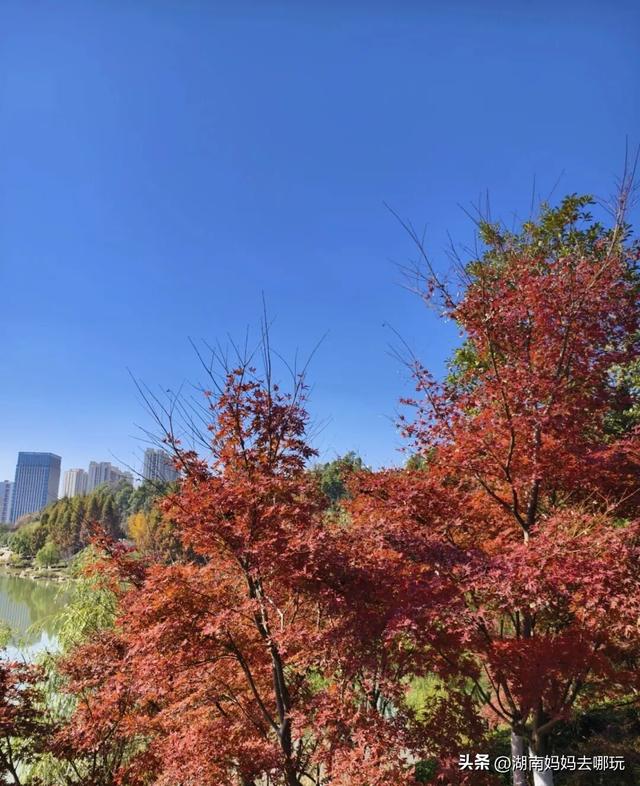 30分钟登顶！长沙私藏小众徒步路线，一站解锁遛娃顶“尖”玩法