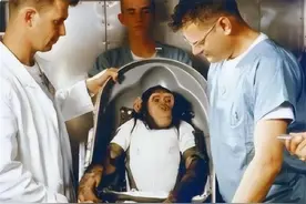 1961年，美国把一只黑猩猩送进太空，回来后却发现了不对劲图片