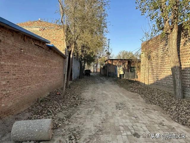 冠县乡韵·贾镇荆楼村