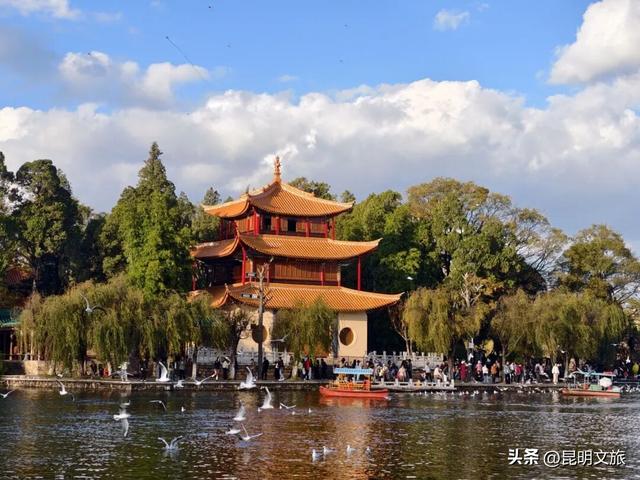 美爆！美爆！超全攻略！超出片！🤳昆明银杏黄金倒计时，抓紧时间冲~