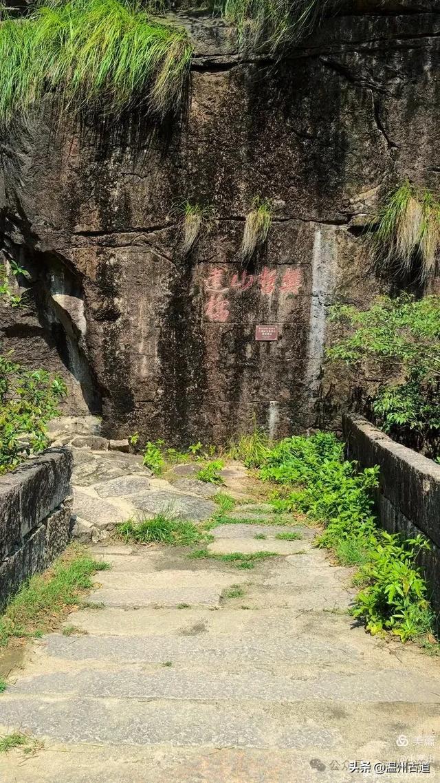 探秘浙南“小黄山”的绝美风光!夏日就去这个天然小众徒步氧吧!