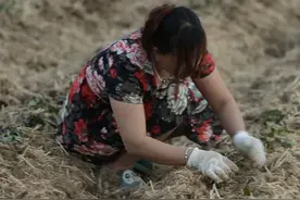 苦命的婚姻（故事）图片