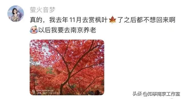 广东人为什么这么爱南京 ？