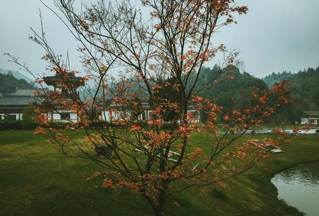 江西私藏的5处禅意秋色，在红叶黄叶间寻回内心宁静