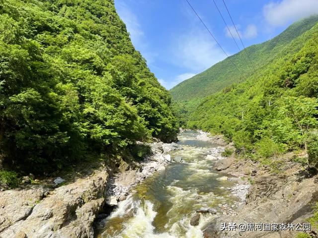 进山纳凉来黑河国家森林公园，让你逃离酷暑，一键降温！