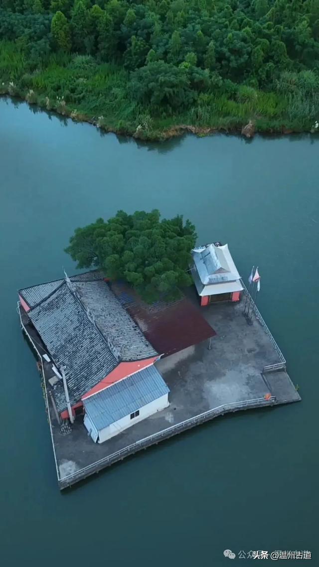 温州最孤独的水中寺庙，一树一庙一孤屿，你可去过?
