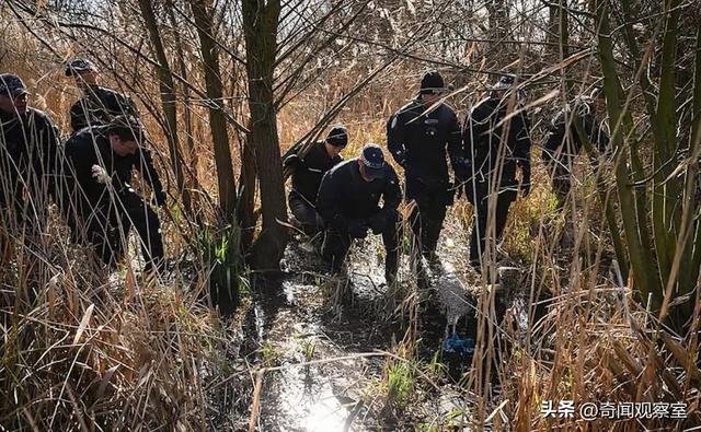 美女高管被害，揭开了整个国家的伤口，震怒英国的案件
