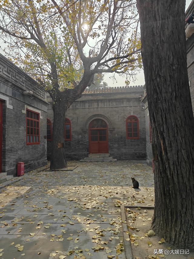 大媛随笔｜走进《小兵张嘎》的拍摄地—胜芳古镇